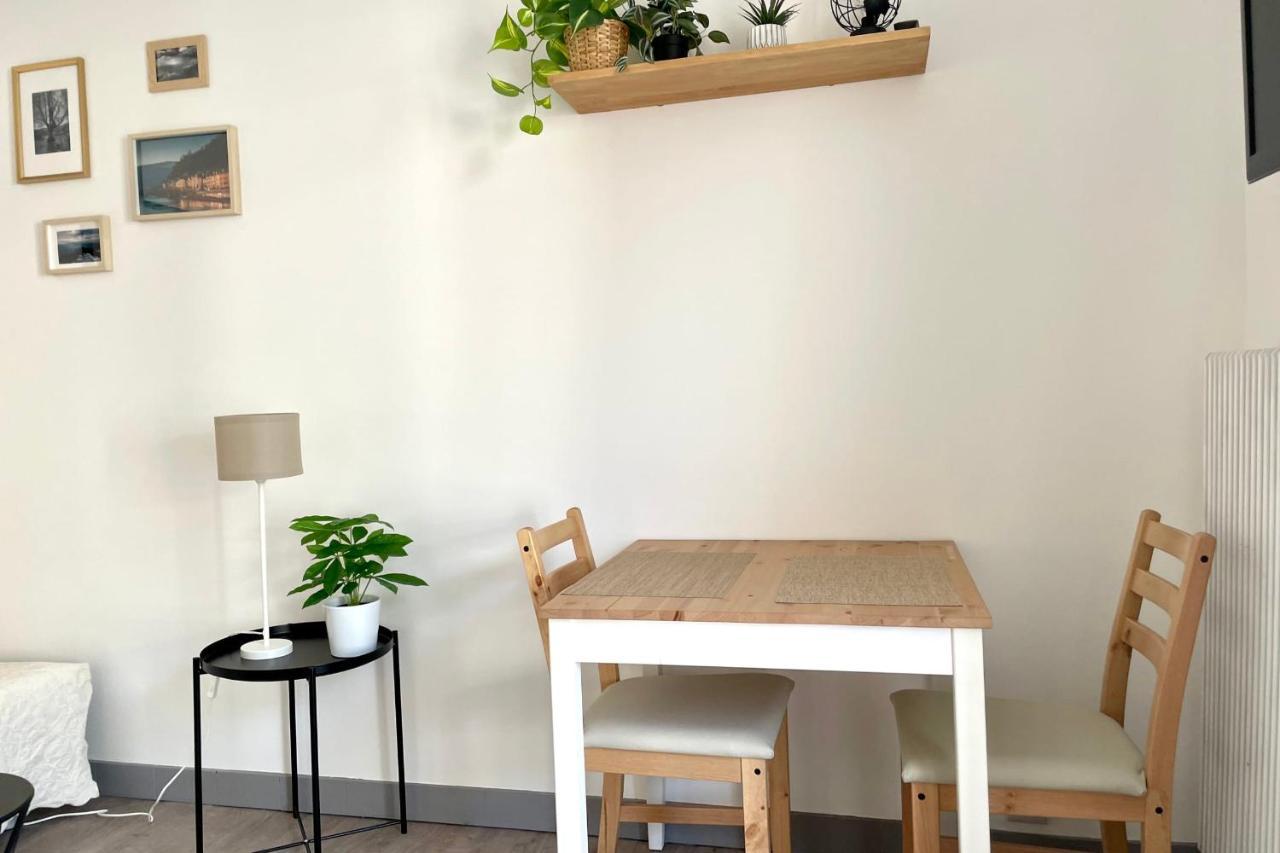 #Dd L'Ecrin Studio Ile Verte Balcony Γκρενόμπλ Εξωτερικό φωτογραφία